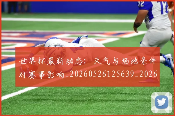 世界杯最新动态:天气与场地条件对赛事影响_20260526125639_20260607160345
